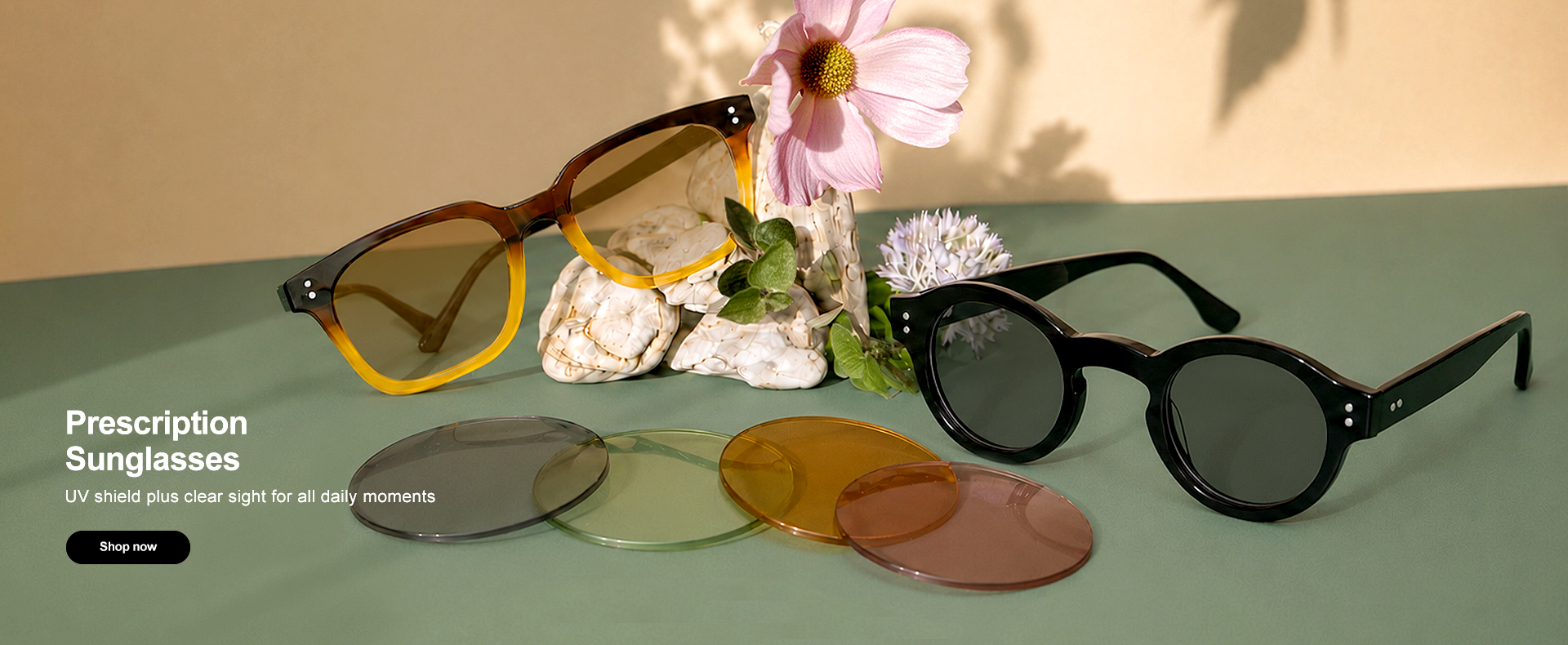 Aoolia Optical | Prescription Eyeglasses & Latest Sunglasses